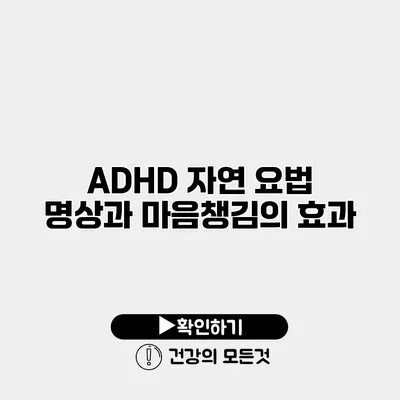 ADHD 자연 요법 명상과 마음챙김의 효과