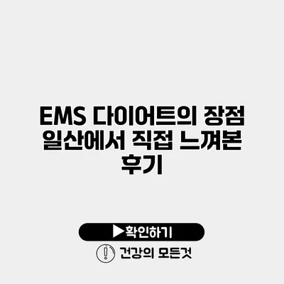 EMS 다이어트의 장점 일산에서 직접 느껴본 후기