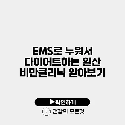 EMS로 누워서 다이어트하는 일산 비만클리닉 알아보기