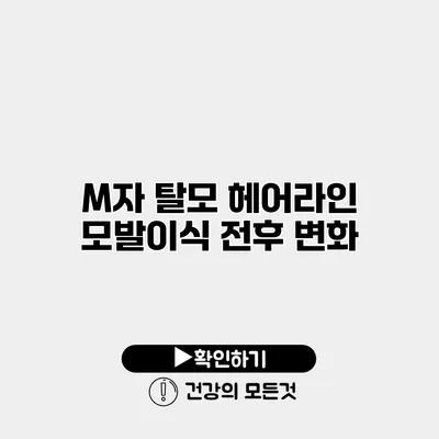 M자 탈모 헤어라인 모발이식 전후 변화