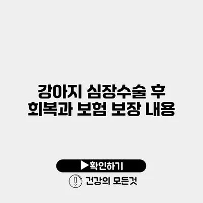 강아지 심장수술 후 회복과 보험 보장 내용