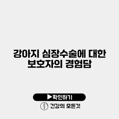 강아지 심장수술에 대한 보호자의 경험담