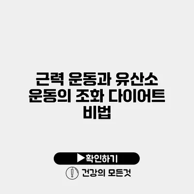 근력 운동과 유산소 운동의 조화 다이어트 비법