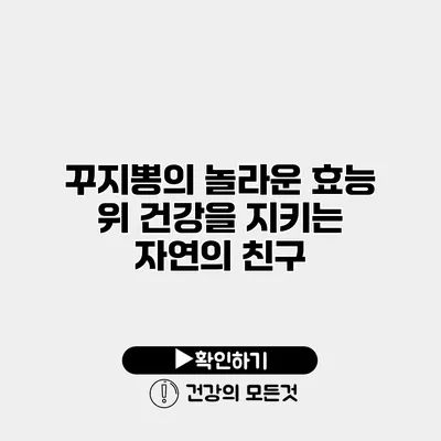 꾸지뽕의 놀라운 효능 위 건강을 지키는 자연의 친구
