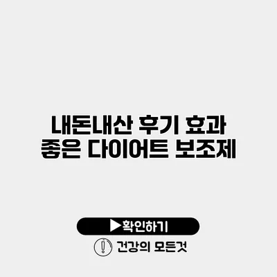 내돈내산 후기 효과 좋은 다이어트 보조제