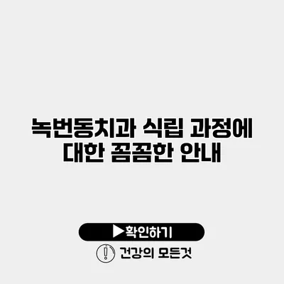 녹번동치과 식립 과정에 대한 꼼꼼한 안내