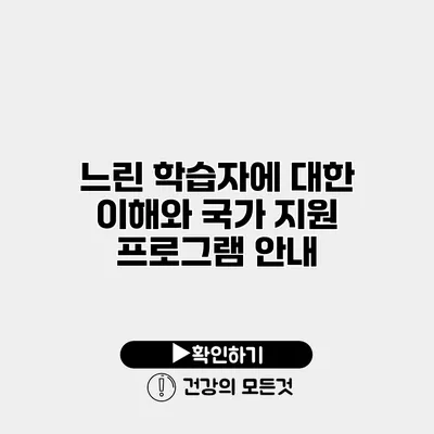 느린 학습자에 대한 이해와 국가 지원 프로그램 안내