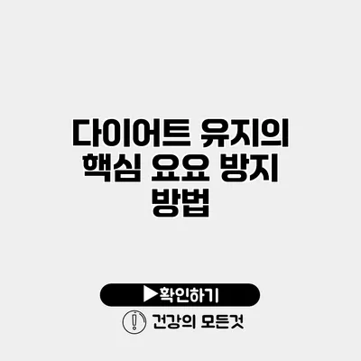 다이어트 유지의 핵심 요요 방지 방법