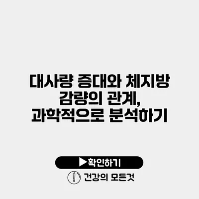 대사량 증대와 체지방 감량의 관계, 과학적으로 분석하기