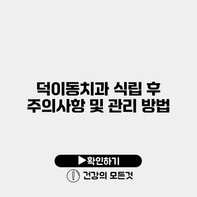 덕이동치과 식립 후 주의사항 및 관리 방법