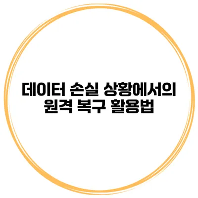 데이터 손실 상황에서의 원격 복구 활용법