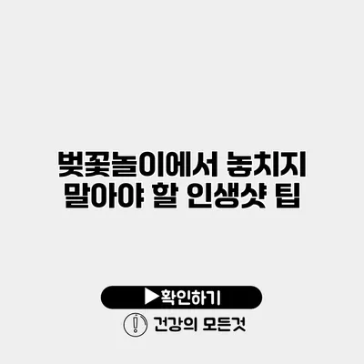 벚꽃놀이에서 놓치지 말아야 할 인생샷 팁