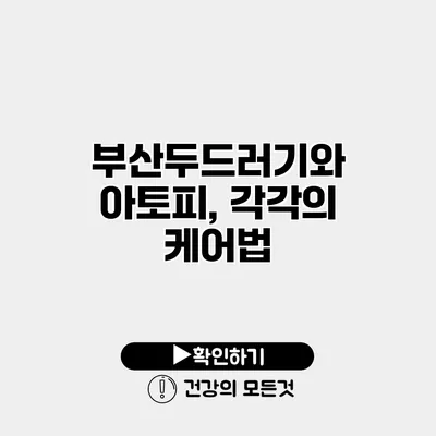 부산두드러기와 아토피, 각각의 케어법