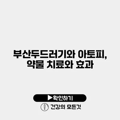 부산두드러기와 아토피, 약물 치료와 효과