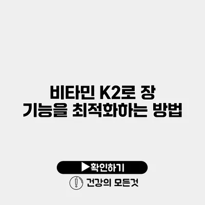 비타민 K2로 장 기능을 최적화하는 방법