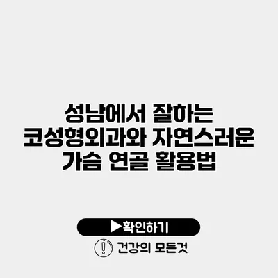 성남에서 잘하는 코성형외과와 자연스러운 가슴 연골 활용법