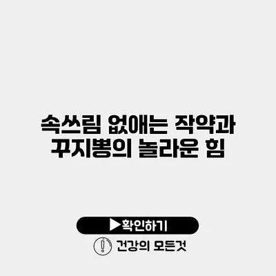 속쓰림 없애는 작약과 꾸지뽕의 놀라운 힘