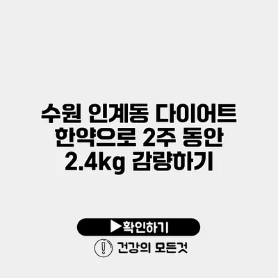 수원 인계동 다이어트 한약으로 2주 동안 2.4kg 감량하기