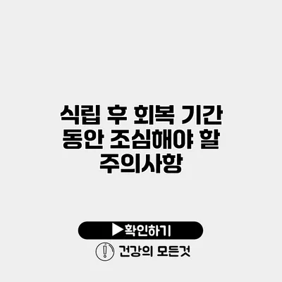 식립 후 회복 기간 동안 조심해야 할 주의사항