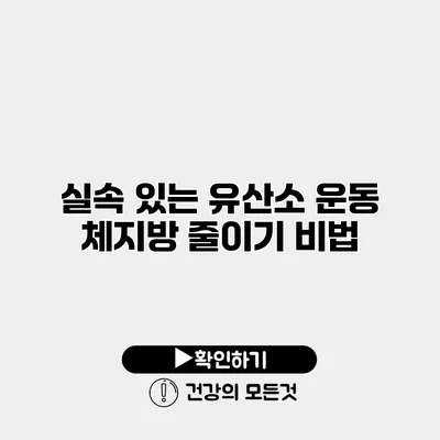 실속 있는 유산소 운동 체지방 줄이기 비법