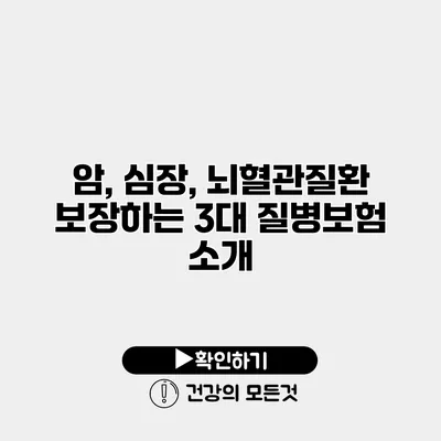 암, 심장, 뇌혈관질환 보장하는 3대 질병보험 소개