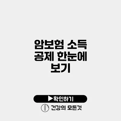 암보험 소득 공제 한눈에 보기