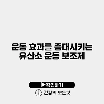 운동 효과를 증대시키는 유산소 운동 보조제
