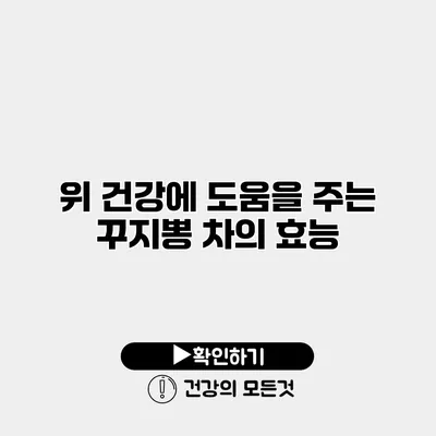 위 건강에 도움을 주는 꾸지뽕 차의 효능