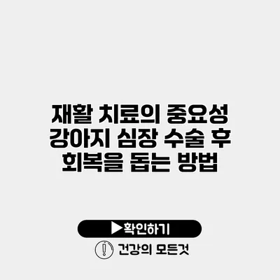 재활 치료의 중요성 강아지 심장 수술 후 회복을 돕는 방법
