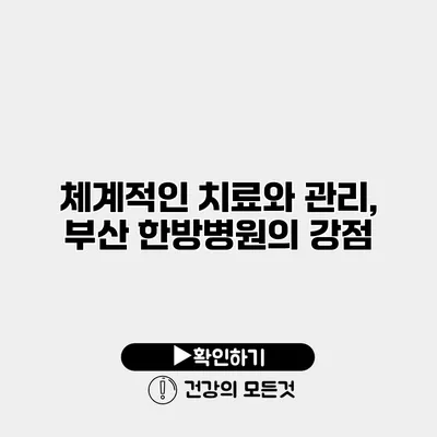 체계적인 치료와 관리, 부산 한방병원의 강점