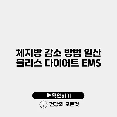 체지방 감소 방법 일산 블리스 다이어트 EMS