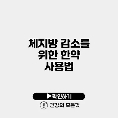 체지방 감소를 위한 한약 사용법