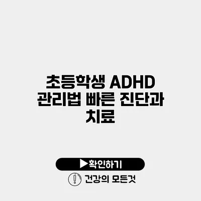 초등학생 ADHD 관리법 빠른 진단과 치료