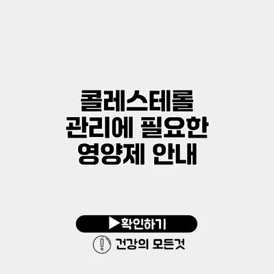 콜레스테롤 관리에 필요한 영양제 안내