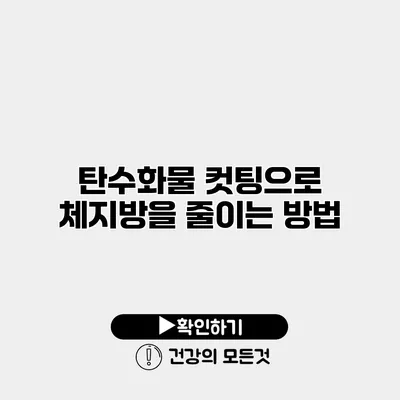 탄수화물 컷팅으로 체지방을 줄이는 방법