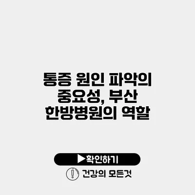 통증 원인 파악의 중요성, 부산 한방병원의 역할