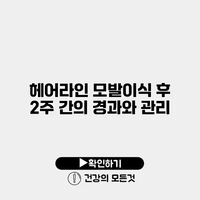 헤어라인 모발이식 후 2주 간의 경과와 관리