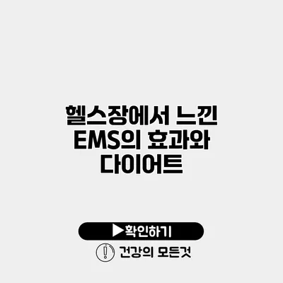헬스장에서 느낀 EMS의 효과와 다이어트