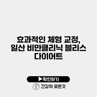 효과적인 체형 교정, 일산 비만클리닉 블리스 다이어트
