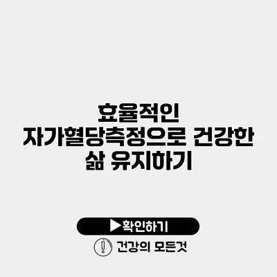 효율적인 자가혈당측정으로 건강한 삶 유지하기