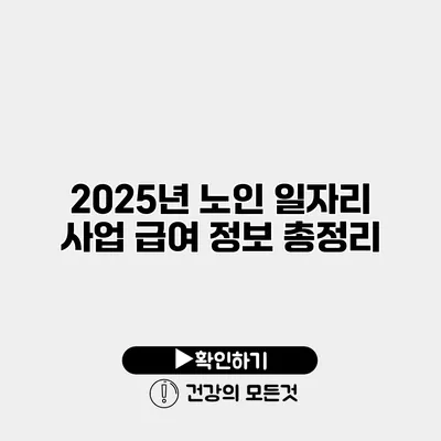2025년 노인 일자리 사업 급여 정보 총정리