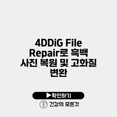 4DDiG File Repair로 흑백 사진 복원 및 고화질 변환