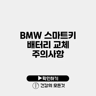 BMW 스마트키 배터리 교체 주의사항