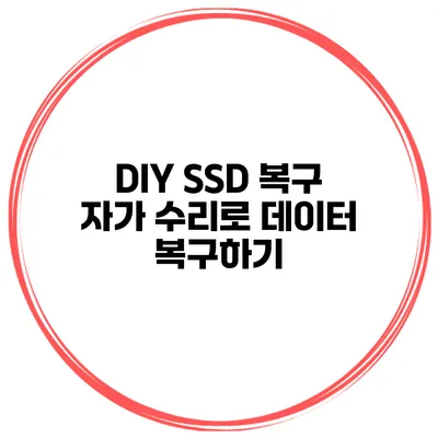 DIY SSD 복구 자가 수리로 데이터 복구하기