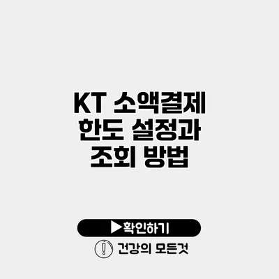 KT 소액결제 한도 설정과 조회 방법