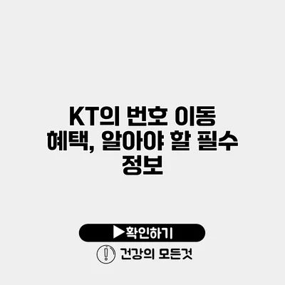 KT의 번호 이동 혜택, 알아야 할 필수 정보