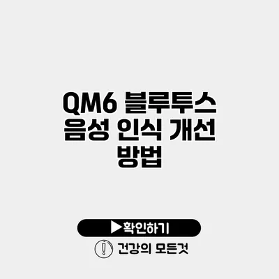 QM6 블루투스 음성 인식 개선 방법