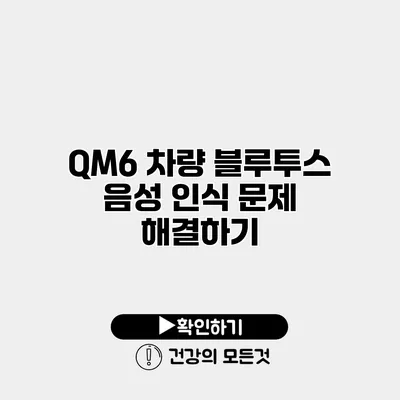 QM6 차량 블루투스 음성 인식 문제 해결하기