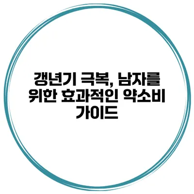 갱년기 극복, 남자를 위한 효과적인 약소비 가이드