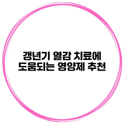 갱년기 열감 치료에 도움되는 영양제 추천